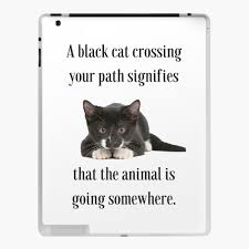 50 cat quotes ~ boom2bloom.com. The Black Cat Quote Ipad Case Skin By Shoppersgala Redbubble