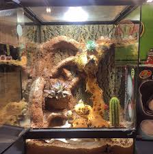Desert Terrarium Made With Zoo Med Excavator Clay And Mopani Wood Reptile Terrarium Bearded Dragon Terrarium Reptile Habitat