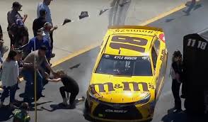 Click on the race number to see the complete results for that race. Kyle Busch Hits Fan With His Car During Nascar Race