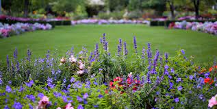 It can be romance, sorrow, or relationship, etc. How To Start A Flower Garden 3 Steps For Beginners Garden Design
