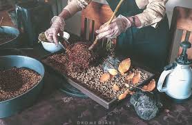 Selecting a tree, pruning, wiring, repotting and bonsai care. How To Make Bonsai Trees 6 Pro Tricks You Might Have Missed