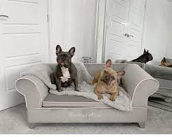We did not find results for: Luxury Custom Dog Sofa Personalised Unique Dog Beds