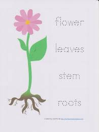 0 ratings0% found this document useful (0 votes). 24 September 2012 Ceria Kreatif Permataku