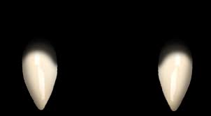 Browse the user profile and get inspired. Dientes De Vampiro Png By Smilermalee On Deviantart