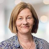 B.S.I. CEO And Leadership: Executives and Demographics