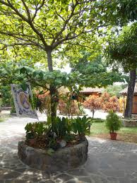 El Tejado Hotel And Restaurant In Suchitoto El Salvador Https Www Facebook Com Pages El Tejado Suchitoto 264578866886977 Rf 394057550647342 Plants Honduras