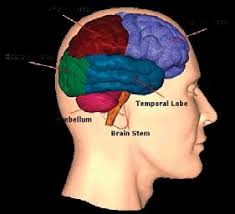 Meet the new leadership: