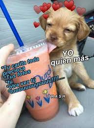 𝕄𝕖𝕞𝕖𝕤 𝕊𝕠𝕗𝕥 In 2020 Romantic Memes Cute Love Memes Boyfriend Memes