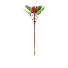Shop.alwaysreview.com has been visited by 1m+ users in the past month Queen Protea Red Silk By Design