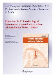 Image result for Pentadesma reyndersii