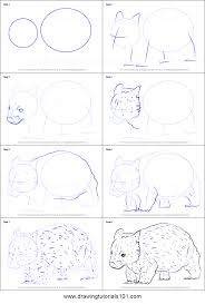 How To Draw A Northern Hairy Nosed Wombat Printable Step By Step Drawing Sheet Drawingtutorials101 Com Drawing Sheet Drawings Animal Graphic