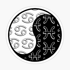 The gemini can be kind of picky about who they date so you should feel special if they choose you. Pisces Boyfriend Love Gifts Merchandise Redbubble