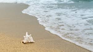 Laut dan pantai tidak akan menghargai mereka yang terlalu gelisah, terlalu serakah, atau terlalu tidak sabar. sumber: 25 Kata Kata Tentang Pantai Sebagai Caption Ig 2021 Poskata