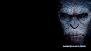If the 'planet of the apes' franchise struck a chord in your 14 top of the line, high def wallpapers means that you're never at a short for inspiring yet eye catching portraits of the renowned ape. 32 Dawn Of The Planet Of The Apes Hd Wallpapers Background Images Wallpaper Abyss