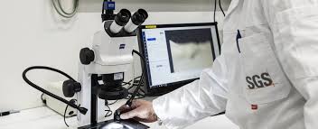 Image result for Μυϊκή Δυστροφία Ντουσέν