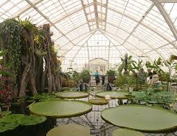 Conservatory Of Flowers Flowers San Francisco Botanical Gardens Conservatory