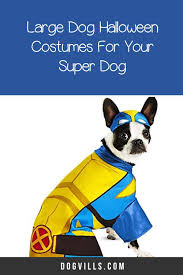 Large Dog Halloween Costumes For Your Super Hero In 2020 Dog Halloween Costumes Dog Costumes Halloween Large Dog Halloween