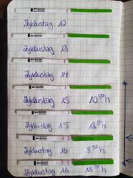 Clearblue kinderwunsch fertilitätsmonitor advanced fertilitäts. Schwangerschaft Zyklus Ovulationstest Eisprung Befruchtung Ovulationstests