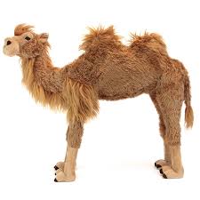 They eat desert vegetation, such as grasses, herbs, and leaves. Jumbo Standing Bactrian Camel Stuffed Animal Fiesta Stuffed Safari
