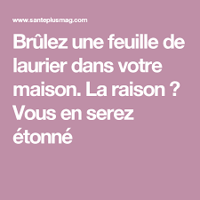 Il Faudrait Bruler Des Feuilles De Laurier A La Maison Soupe Pour Maigrir Sante Et Beaute Feuilles De Laurier