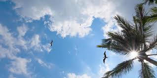 Ceiling lights usually use incandescent or. Skyview 23 Real Del Mar Beach Fluorescent Light Covers Fluorescent Gallery