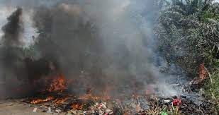 Check spelling or type a new query. Pkp Bakar Sampah Pun Tak Boleh