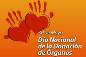 De los 736 trasplantes realizados en lo que va del año 451 fueron renales, 190 los 356 procesos de donación de órganos concretados representan un aumento del 59% con respecto al mismo periodo del año 2018, en el. Se Conmemora Manana El Dia Nacional De La Donacion De Organos Para Trasplante
