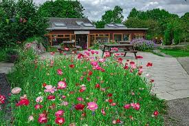 Um dezember 31, 2015 kommentare: Mystischer Garten Brigit S Garden Cafe Moyascragh Reisebewertungen Tripadvisor