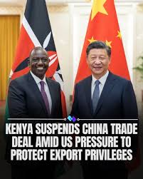Kenya has decided to halt a trade agreement with China following pressure  from the United States, underscoring the complex balancing act African  countries face in global commerce. The proposed deal would have