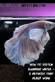 How To Soften Aquarium Water 5 Effective Methods 2019 Aquarium Water Freshwater Aquarium