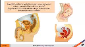 Penerapan bioteknologi memadukan berbagai disiplin ilmu seperti mikrobiologi, biokimia, genetika, biologi molekuler, kimia, rekayasa proses dan teknik kimia. Sma Ringkasan Biologi Xii Bab 9 Bioteknologi