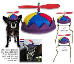 Beanie Dog Hat Beanie Hats Silly Hat