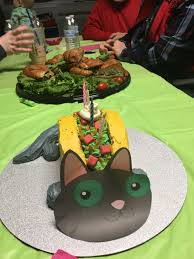 Taco Cat Cake Cat Party Taco Cat Cat Cake