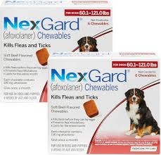 How long does it take for nexgard to start working. Nexgard Soft Chew For Dogs 60 1 121 Lbs Red Box 12 Soft Chews 12 Mos Supply Chewy Com