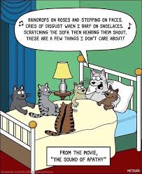 The Sound Of Music Meets A Cat S The Sound Of Apathy Cat Jokes Cat Comics Funny Animal Pictures