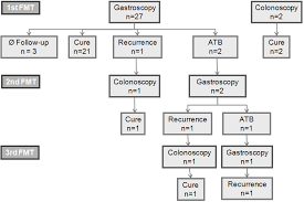 Flowchart Of All Fmt Performed In The Series Of 28 Patients