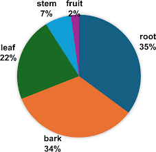 Image result for Aristida rhiniochloa