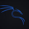 Wallpapers with simple abstract design containing the kali linux* logo this set of wallpapers is dedicated to kali linux users and developers. Https Encrypted Tbn0 Gstatic Com Images Q Tbn And9gcqankwwcuvimf0yk Myycqqulotwkaudm3igkdcobom Ti5uqvh Usqp Cau
