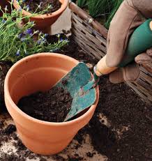 The soil that covers your garden for up to the first 12 inches is topsoil, and below this lies the subsoil. Container Soil Vs Garden Soil Growing Food Indoors West Coast Seeds