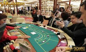 Image result for sacasino