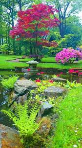 Japanese Garden The Hague Netherlands Most Beautiful Gardens Japanese Garden Beautiful Flowers Garden