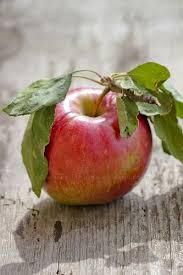 Apple Photographie De Fruit Photos De Fruits Et Legumes L Art Du Fruit