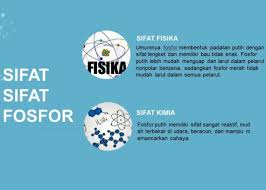 Check spelling or type a new query. Daur Fosfor Pengertian Sifat Proses Dan Manfaatnya Lengkap