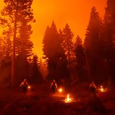 Nothing we love it more than life. The Climate Connection To California S Wildfires The New York Times
