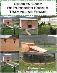 Pin By Candace Mclennan On Gardening Building A Chicken Coop Chicken Coop Chickens Backyard