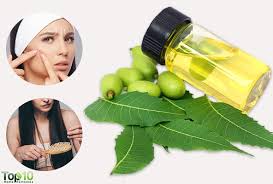 People of the subcontinent consider it to be a symbol of good health, and they call it village pharmacy owing to its efficiency to treat various health issues. Neem Oil For Hair And Skin 9 Benefits And How To Use It Skin Care Top News
