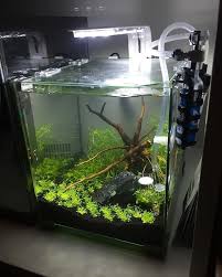 Newly Planted Tank Set Up The Top Fin Retreat Tank That I Got During Petsmart S Pre Black Friday Sale Many Betta Pre Black Friday Sales Freshwater Aquarium