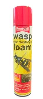 Rentokil Wasp Nest Killer Foam