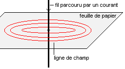 Résultat de recherche d'images pour "L'homme serait « un feuillet magnétique »"