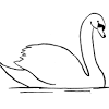 Find the latest tracks, albums, and swans is a band from new york, united states, active from 1982 to 1997, reformed in 2010, led by. 1